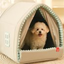 펫하우스애견 이미지