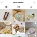 해피몽스데이 이미지