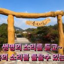 대장경휴게실