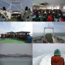 청산면 도락마을 슬로쉼터 추진협의회 | 청산도여행 느림의 행복 청산도슬로걷기축제와 유채꽃에 반하다.