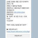 반 고흐가 사랑한 술 압생트 구입 내돈내산