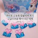 참세탁 | 캡슐 세탁세제 추천 루비토 고농축 캡슐 세제 후기
