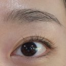 아이젠트리렌즈미 세종다정점 이미지