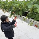 퓰리처반 최지윤 주말이야기🍓 이미지