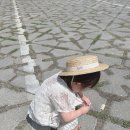 이천농업테마공원 공원부지 이미지