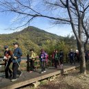 노르딕워킹 이미지