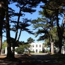 Cypress Tree Tunnel in Point Reyes. 이미지