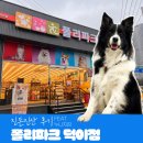 탄현 동물병원 | 탄현역 24시 애견용품점 찾기? 폴리파크 덕이점만 다녀요