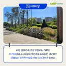 정자목마을마당