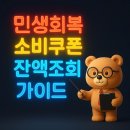 민생회복 소비쿠폰 잔액조회 가이드 이미지