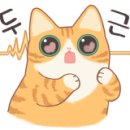 (주)오토복코리아헬스케어 이미지