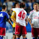 포옹베리 이미지