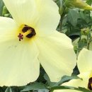 블랙트리하우스 이미지