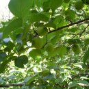 농산물종합유통센터 이미지