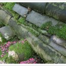 와룡초교 이미지