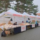 [미디어기자단] 영등포구 2026 설맞이 상생장터 방문후기 - 전통시장, 소상공인, 지역특산품이 한자리에