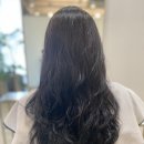 최진 미용실