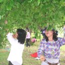 사선대야영장 이미지