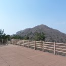 천등산철쭉공원 이미지