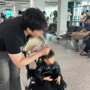 왕성카서비스 | 두 가족이 함께 떠난 제주여행 - 제주 단소 애월본점, 해지개