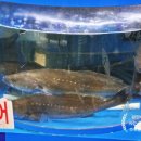 만복수산 이미지