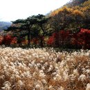 만수산주유소 Daum카페