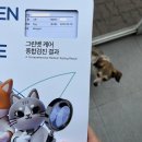 C.T.종합동물병원 | 그루와 함께 일본 가기 ③ │ 간사이 공항 동물검역, 티웨이 기내반입 @t&#39;carrier