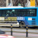 (버스)E편한세상평택용이.평택남산교회앞 | 협진여객 1311 NEW BS106 NGV '21 [1085호]