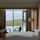 한라의료재단 서귀포분원 수영장 | 숙소 추천 위(WE)호텔 슈페리어 트윈룸 휴식과 힐링 모두 가능한 5성급 호텔 2박 3일 투숙 후기 연박 추천