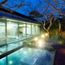 디아너스 이미지