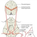 맑은하루신경과의원 이미지