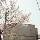 찰칵이상자 이미지