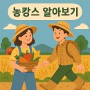 (주)하늘마음바이오 홍천지점 알파카스테이 | 🌾 농캉스의 모든 것! 2025년 최고의 농촌 힐링 여행 가이드🌾