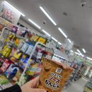 신미술관 | 동경 3박4일 자유여행 현대카드 일본제휴서비스 알차게 이용했어요