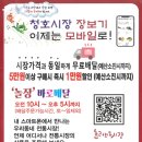 청호시장 이미지