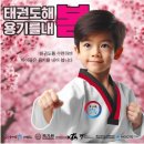 국가대표다온태권도장 이미지