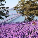 퍼플민박 이미지