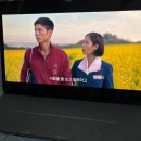 전주덕진초등학교 | 치과를 제때 가는 어른이 됩시다..
