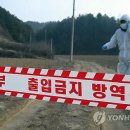 세종가축병원 이미지