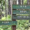 더아르떼플러스 이미지