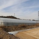 도현이네 농장 이미지