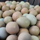 대장군농장 이미지