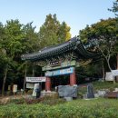 팀금천 | 호압사 산사음악회 김태연 안성훈 금천구 트롯 축제 후기