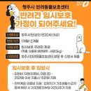 청주시 반려동물보호센터 | 청주시반려동물보호센터 봉사활동