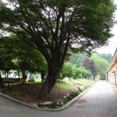 금산초등학교 이미지