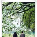 드라마 "샤이닝" 10년 후 다시 만난 첫사랑, 청춘의 빛과 그림자!