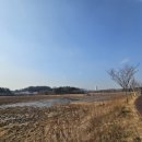 감못반점