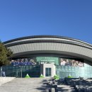 기장체육관 | 데이비스컵 부산 관람 후기 권순우 정현 신산희 박의성 남지성