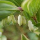 산들농원 이미지