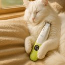 그루밍 스팟 | 조아스 펫 스팟 바리깡, 반려동물 부분 이발이 이렇게 쉬울 줄 몰랐어요!